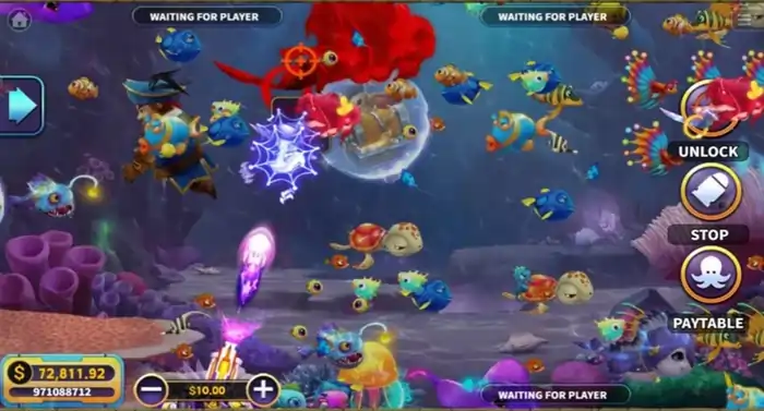 King octopus